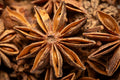 Star Anise - Macro shot showing detailed textures of star anise spice, highlighting its distinct shape and color.