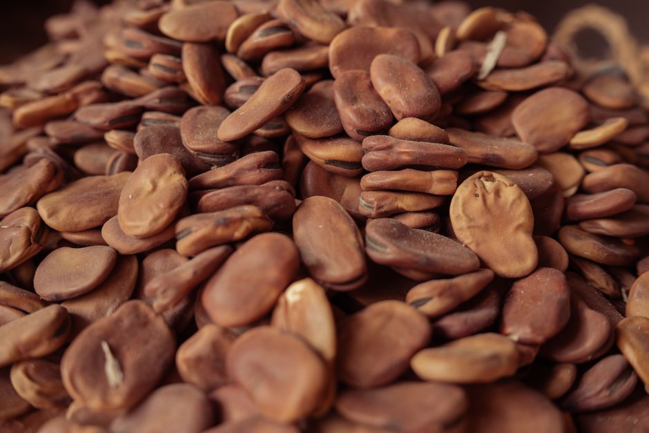 Fava Beans - A detailed close-up of raw fava beans showcasing texture and earthy tones.