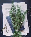 Rosemary - Aromatic rosemary on a vintage book on newspaper with scissors nearby. Perfect for kitchen or herbal imagery.
