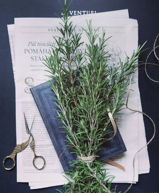 Rosemary - Aromatic rosemary on a vintage book on newspaper with scissors nearby. Perfect for kitchen or herbal imagery.