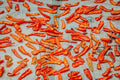 Pequin - Vibrant red chili peppers are spread out on a fabric, drying in the sun.