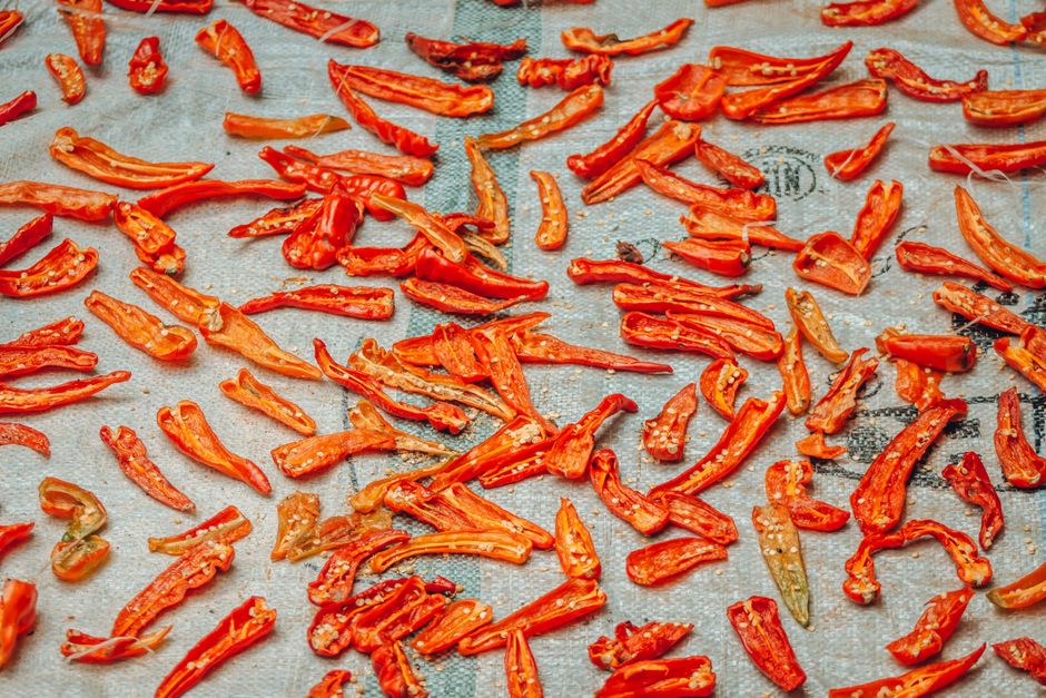 Pequin - Vibrant red chili peppers are spread out on a fabric, drying in the sun.