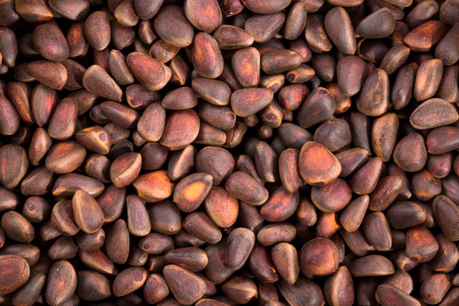 Pine Nuts - High-resolution image of raw pine nuts, ideal for culinary and health-related projects.
