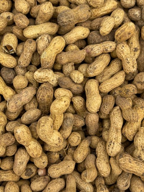 Peanuts - A close-up of organic peanuts in their shells, ideal for food and nutrition concepts.
