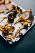 Mushroom, Dried - A collection of dried chanterelle mushrooms laid out on a newspaper spread.