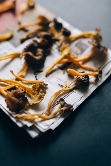 Mushroom, Dried - A collection of dried chanterelle mushrooms laid out on a newspaper spread.