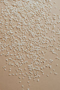 Sesame Seeds - A close-up view of organic raw sesame seeds scattered on a surface, ideal for nutrition concepts.
