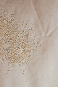 Quinoa - Overhead view of scattered organic quinoa seeds on textured brown paper background.