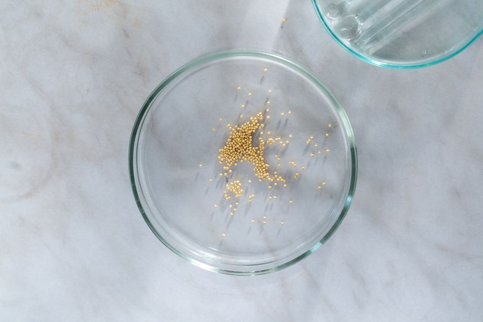 Mustard Powder / Flour - Top view of mustard seeds in a clear petri dish on a marble surface.